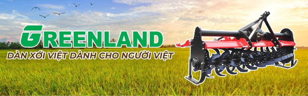 Banner dan xoi Greenland