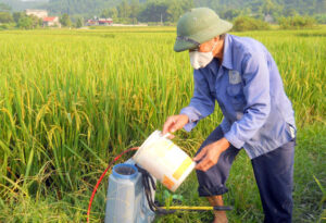 làm dụng thuốc bảo vệ thực vật trong nông nghiệp