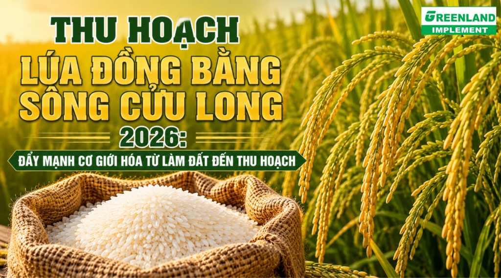 THU HOẠCH LÚA ĐỒNG BẰNG SÔNG CỬU LONG 2026: ĐẨY MẠNH CƠ GIỚI HÓA TỪ LÀM ĐẤT ĐẾN THU HOẠCH THU HOẠCH LÚA ĐỒNG BẰNG SÔNG CỬU LONG 2026: ĐẨY MẠNH CƠ GIỚI HÓA TỪ LÀM ĐẤT ĐẾN THU HOẠCH