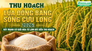 THU HOẠCH LÚA ĐỒNG BẰNG SÔNG CỬU LONG 2026: ĐẨY MẠNH CƠ GIỚI HÓA TỪ LÀM ĐẤT ĐẾN THU HOẠCH
