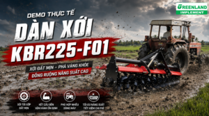 1560 X 867 thumnail bài vết web greenland