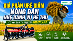 GIÁ PHÂN URÊ GIẢM, NÔNG DÂN NHẸ GÁNH VỤ HÈ THU | CƠ HỘI ĐẦU TƯ DÀN XỚI GREENLAND