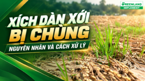 Xích dàn xới bị chùng - Nguyên nhân và cách xử lý